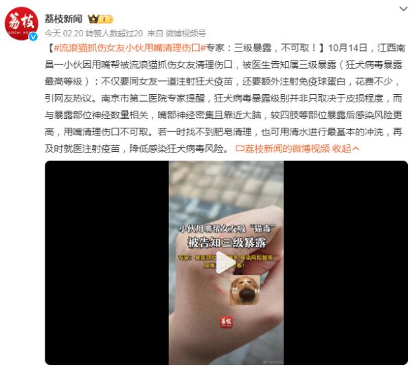 流浪猫抓伤女友小伙用嘴清理伤口，专家：三级暴露，不可取