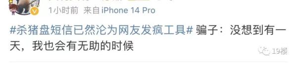 打不过就加入！"杀猪盘"短信沦为网友发疯工具？冲上热搜了…