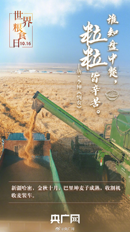 世界粮食日 一起珍惜古今粮缘
