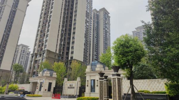 2岁女童小区内遭烈犬撕咬致肾裂伤，伤人黑狗及其主人还没找到