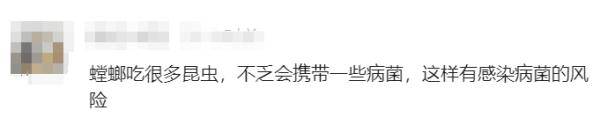 男子用螳螂吃掉长出的肉瘊子？医生：不科学，可能导致感染