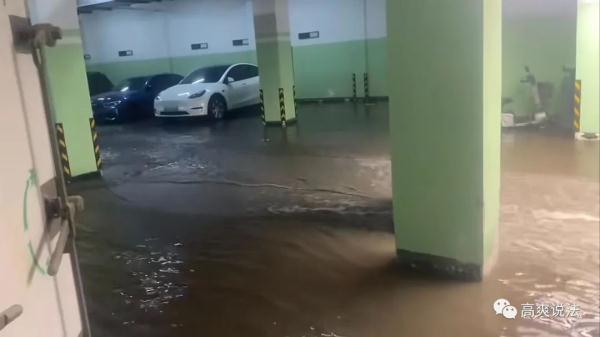私挖地下室致河堤塌陷，该担何责？