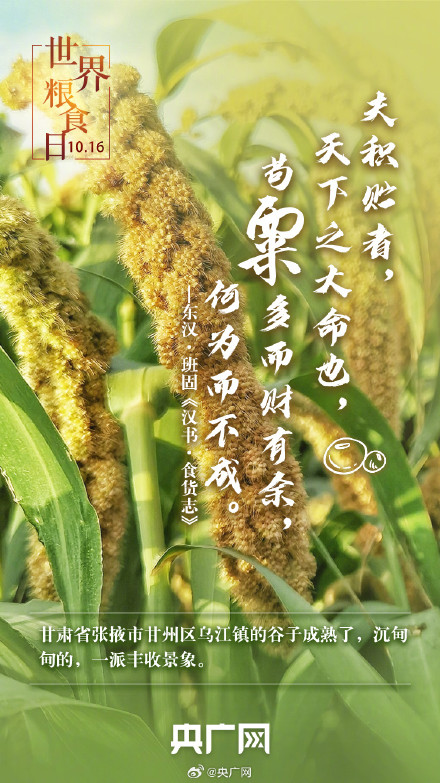 世界粮食日 一起珍惜古今粮缘