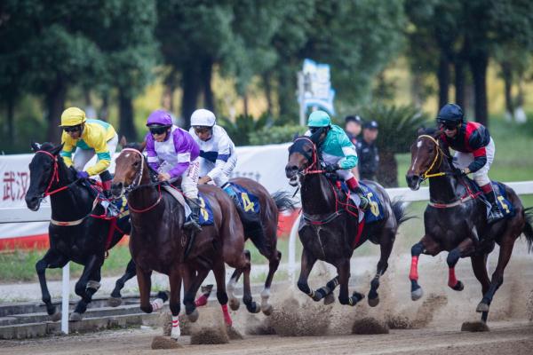 中国速度赛马公开赛武汉站决赛举行