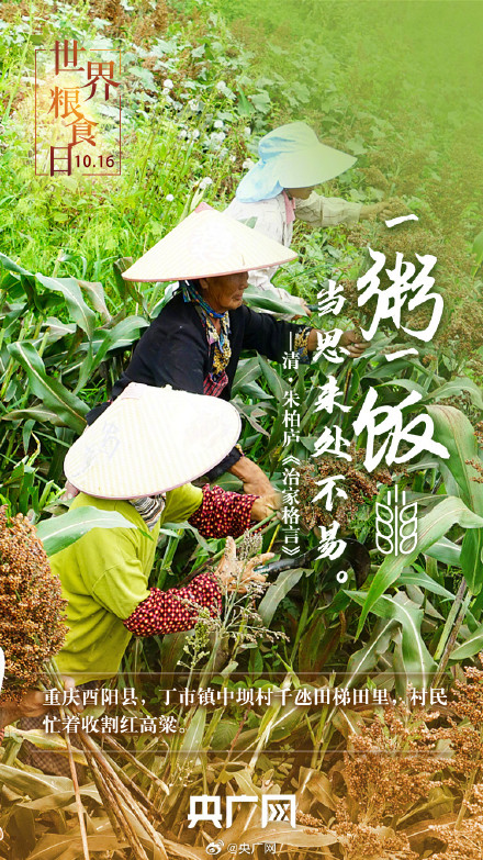 世界粮食日 一起珍惜古今粮缘