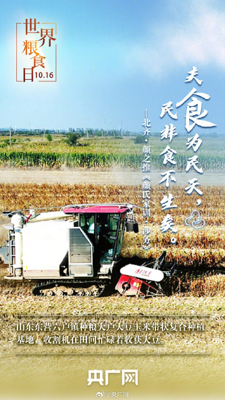 世界粮食日 一起珍惜古今粮缘