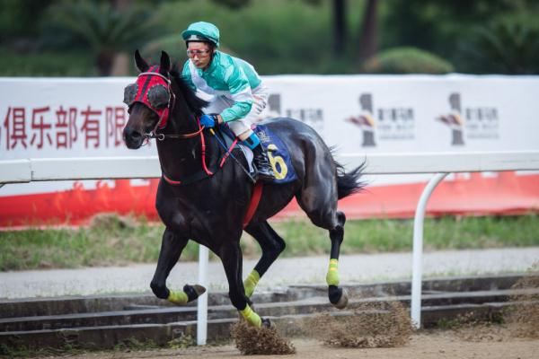 中国速度赛马公开赛武汉站决赛举行