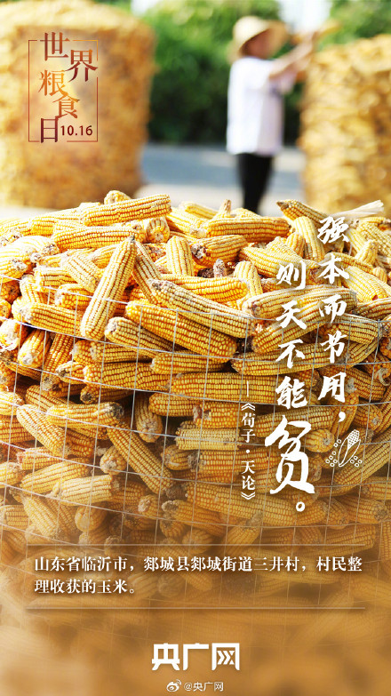 世界粮食日 一起珍惜古今粮缘
