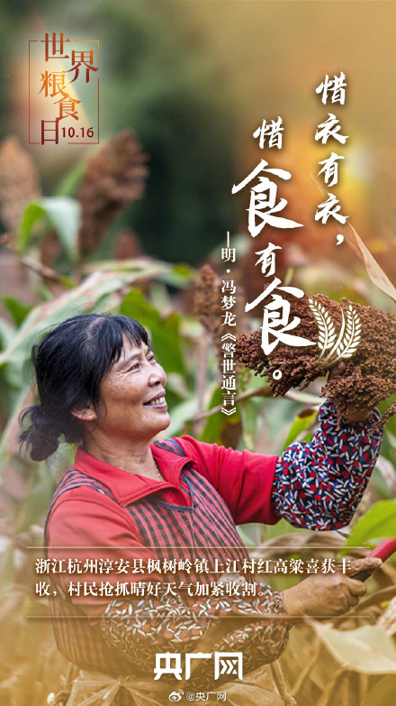 世界粮食日 一起珍惜古今粮缘