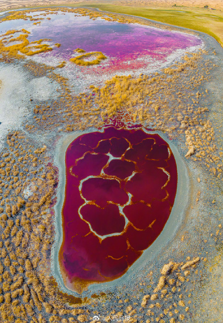 收藏美景！腾格里沙漠里的湖泊有多美