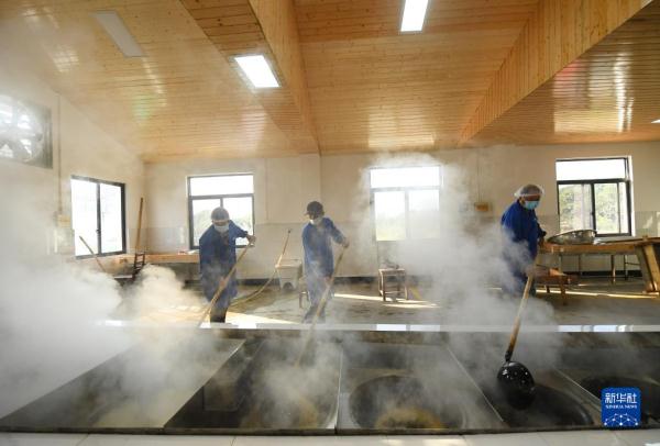 共富工坊里的“甜蜜”事业 共富工坊里的“甜蜜”事业