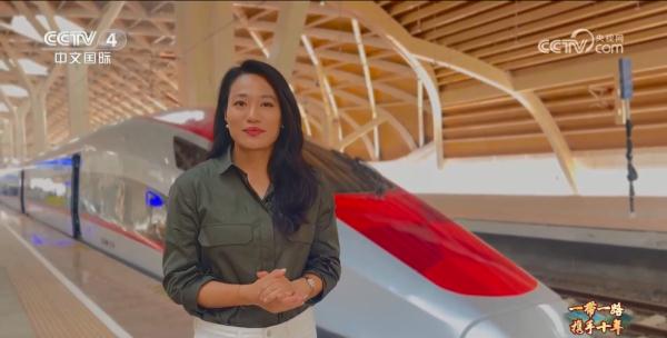 “一带一路”标志工程雅万高铁开通 跑出中国的“加速度” “一带一路”标志工程雅万高铁开通 跑出中国的“加速度”