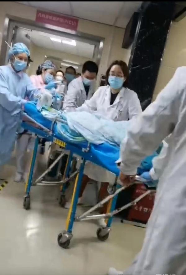 刚刚通报：咬伤2岁女孩的恶犬主人已找到！被采取刑事强制措施