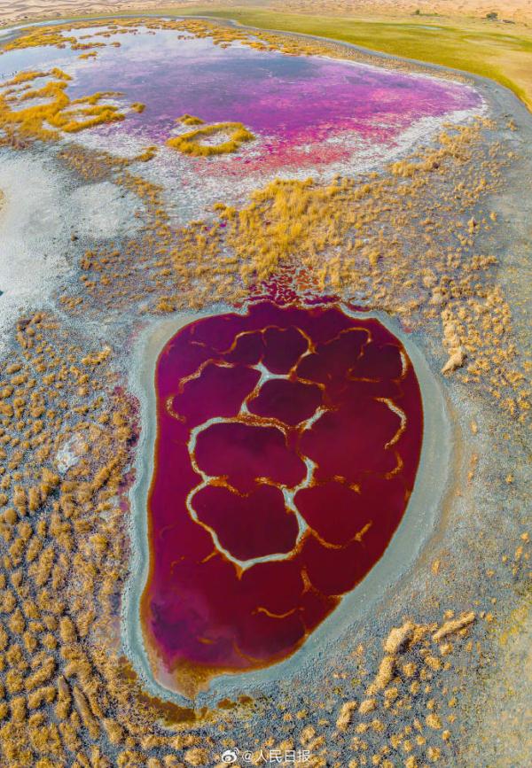 收藏美景!腾格里沙漠里的湖泊有多美 收藏美景!腾格里沙漠里的湖泊有多美