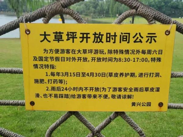 上海的公园里，意外多次发生！孩子被戳破额头，老人被绊倒骨折……露营存在安全隐患→
