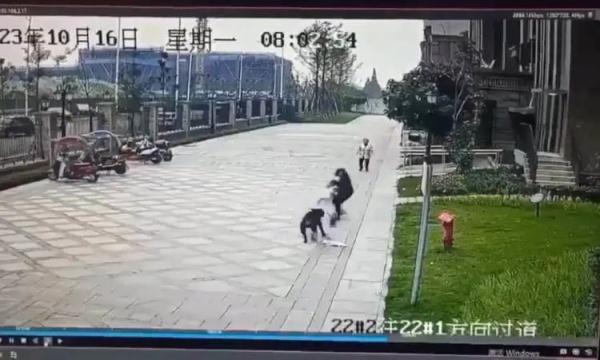 成都恶犬撕咬2岁女童法律分析：犬主或涉嫌犯罪