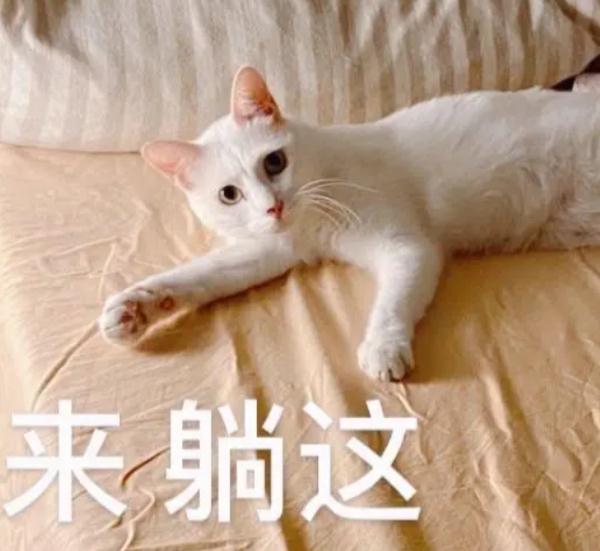 “低头族”注意！头痛难忍，问题居然出在这里