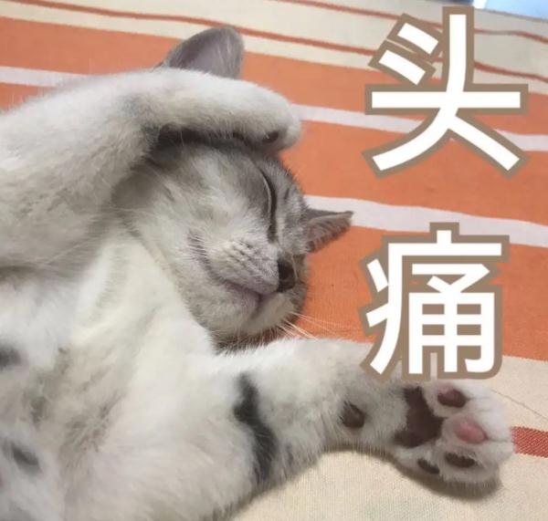 “低头族”注意！头痛难忍，问题居然出在这里