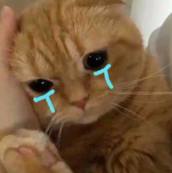 “低头族”注意！头痛难忍，问题居然出在这里