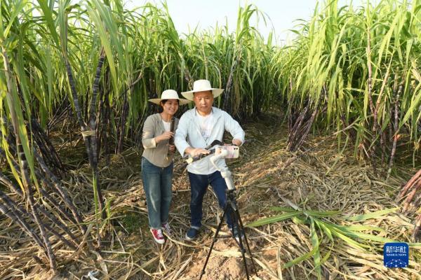 共富工坊里的“甜蜜”事业 共富工坊里的“甜蜜”事业