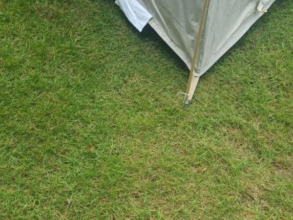 上海的公园里，意外多次发生！孩子被戳破额头，老人被绊倒骨折……露营存在安全隐患→