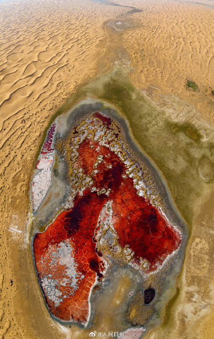 收藏美景！腾格里沙漠里的湖泊有多美