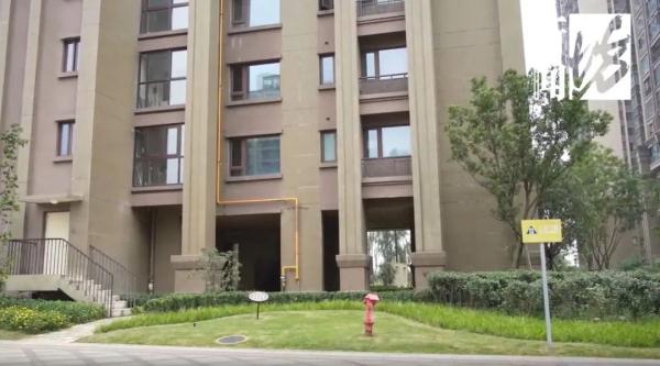 全网怒了!唐某,已被采取强制措施! 全网怒了!唐某,已被采取强制措施!