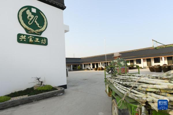 共富工坊里的“甜蜜”事业 共富工坊里的“甜蜜”事业