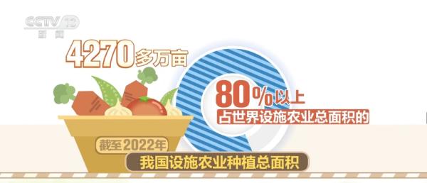 我国设施农业发展迅速 有效满足市场“菜篮子”“果盘子”“花架子”需求