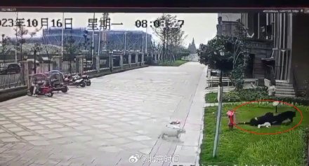 崇州警方通报女孩被狗咬伤 崇州警方通报女孩被狗咬伤