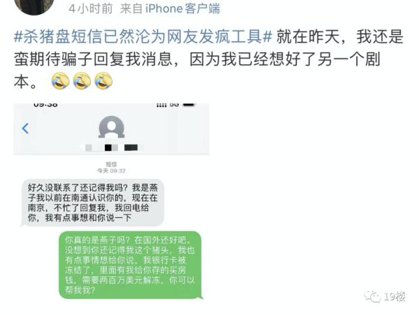 又来“杀猪盘”？网友已经学会了“用魔法打败魔法”！
