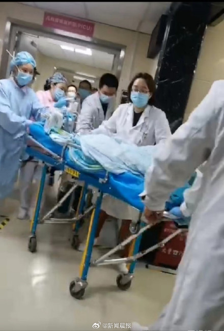 咬伤女童的罗威纳犬被捕获,成都警方回应狗主人调查情况 咬伤女童的罗威纳犬被捕获,成都警方回应狗主人调查情况