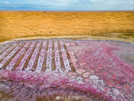 收藏美景！腾格里沙漠里的湖泊有多美