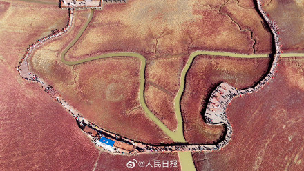 辽宁盘锦大片红海滩有多美 辽宁盘锦大片红海滩有多美