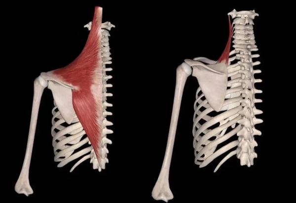 经常单侧背包,会高低肩吗? 经常单侧背包,会高低肩吗?