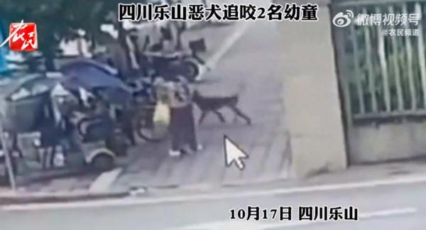 痛心！又发生了……