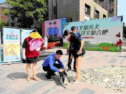 合肥明确宠物狗出门不拴绳一律捕捉