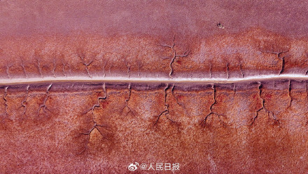 辽宁盘锦大片红海滩有多美 辽宁盘锦大片红海滩有多美