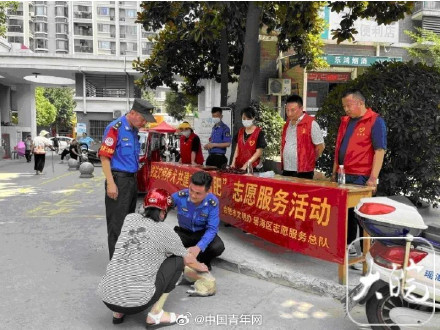 合肥明确宠物狗出门不拴绳一律捕捉