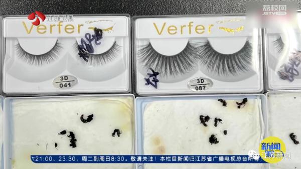 头皮发麻!假睫毛里发现612只蚂蚁、37只蝎子 头皮发麻!假睫毛里发现612只蚂蚁、37只蝎子