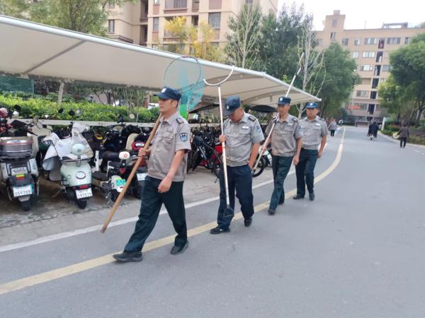 黑狗主人已找到！阜阳多个小区已行动！遛狗不牵绳，抓！