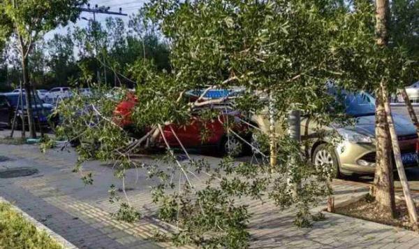 北京街头一起“离奇”车祸,一辆车前后左右都被撞了… 北京街头一起“离奇”车祸,一辆车前后左右都被撞了…
