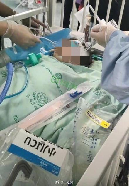 被狗咬伤2岁女童已筹够200万