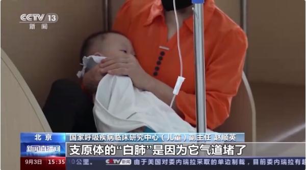 上热搜的“支原体肺炎”，究竟是啥？