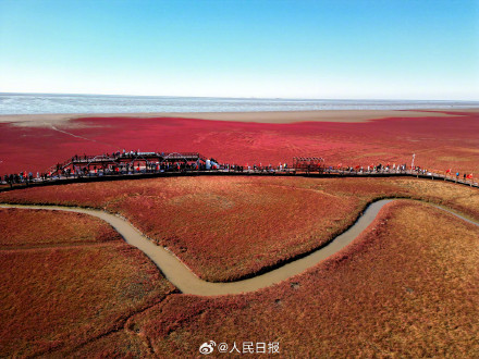 辽宁盘锦大片红海滩有多美 辽宁盘锦大片红海滩有多美