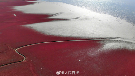 辽宁盘锦大片红海滩有多美 辽宁盘锦大片红海滩有多美