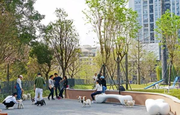 注意！深圳这25种犬禁养