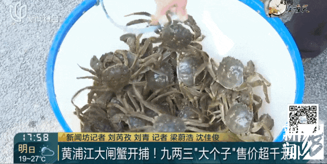 今年，个头惊人！上海人喜爱的美味大量上市...这个职业生意火爆：日薪达千元