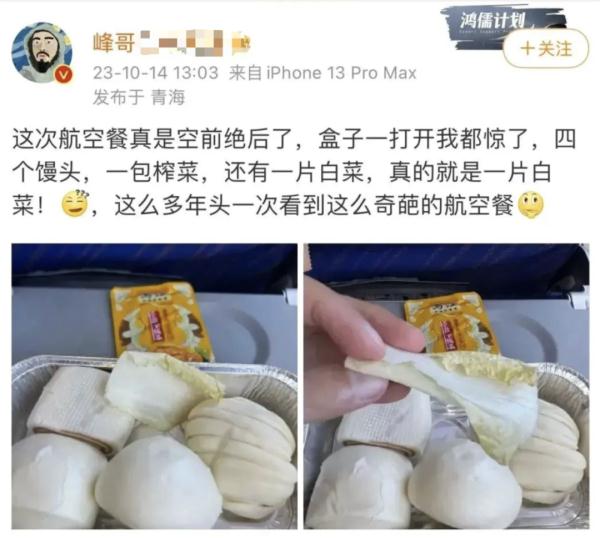 四个“馒头”配一片白菜，这份航空餐合理吗？