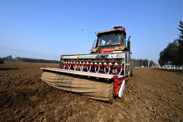 河北廊坊安次区：冬小麦播种忙